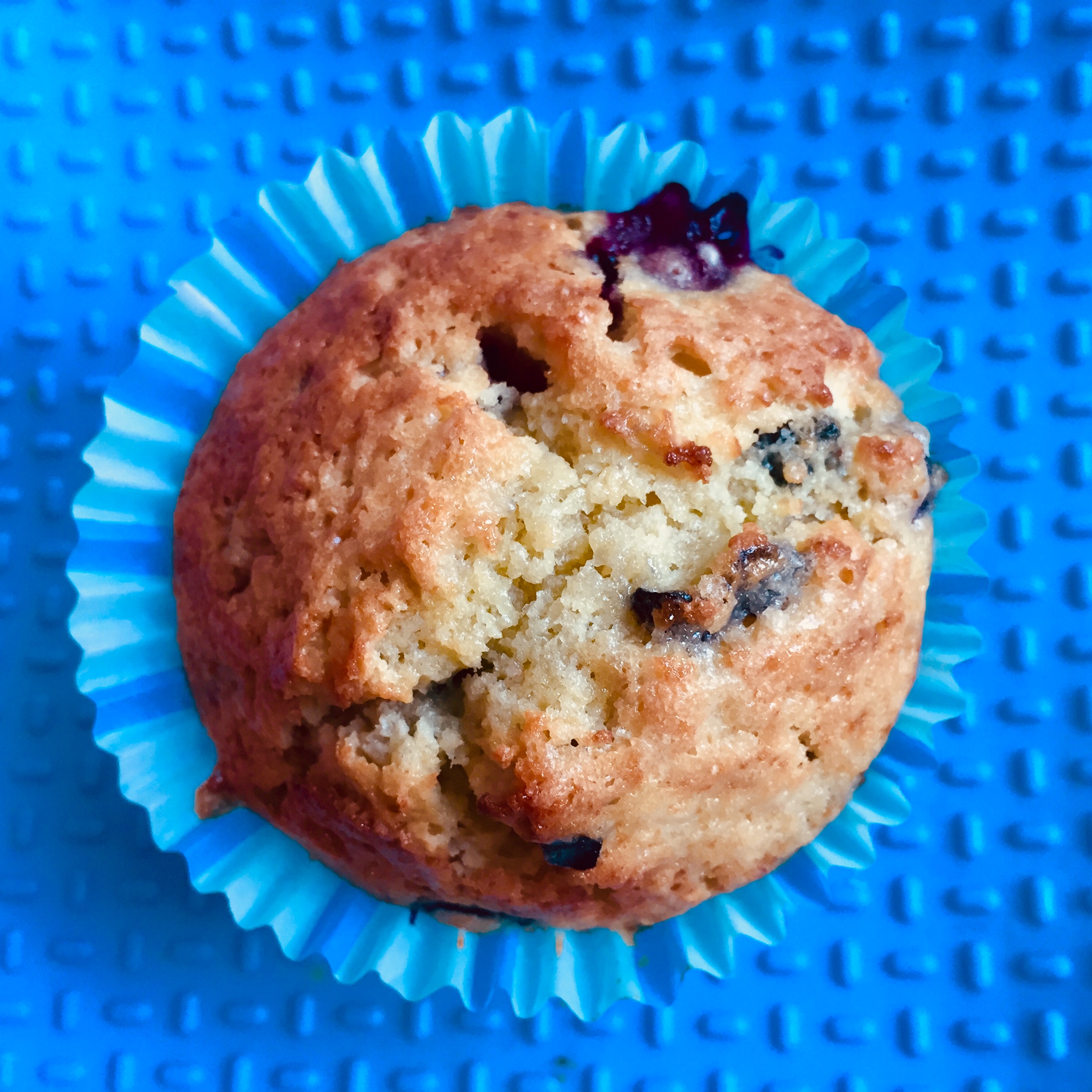 Blueberry Muffins Finding Your Ease